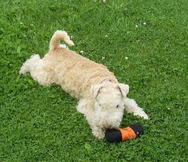 julianadorp august2012 019.jpg