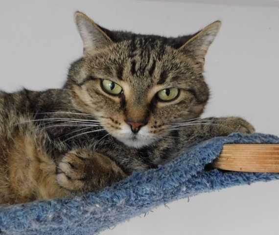 ... wenn man nicht von Fotografen gestört wird