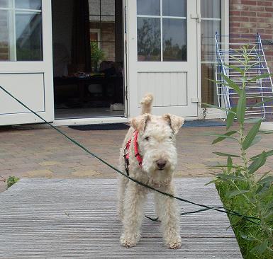 Niederlande Makkum Juli2010 008.jpg