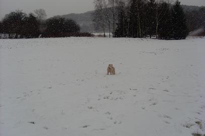 Oh je, ich ganz alleine hier...