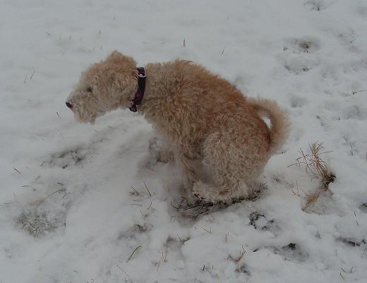 Dann hinterlasse ich mal eine Spur von mir.