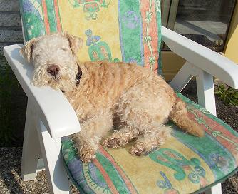 Julianadorp 2011 007.jpg